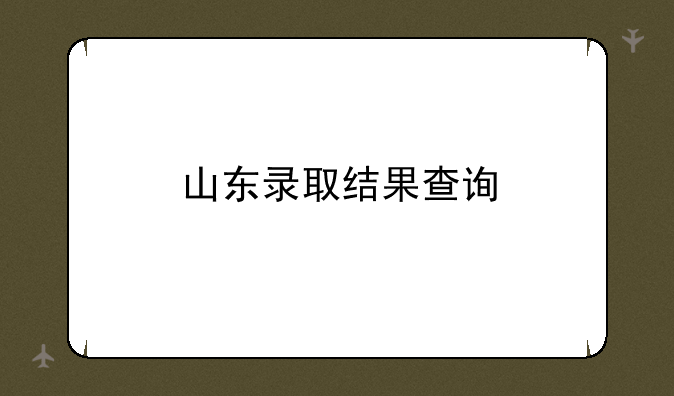 山东录取结果查询