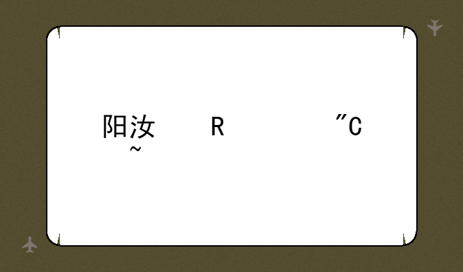 阳江电大成绩查询