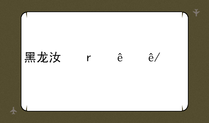 黑龙江省人事考试