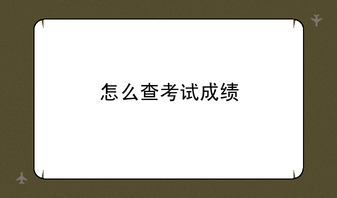 怎么查考试成绩
