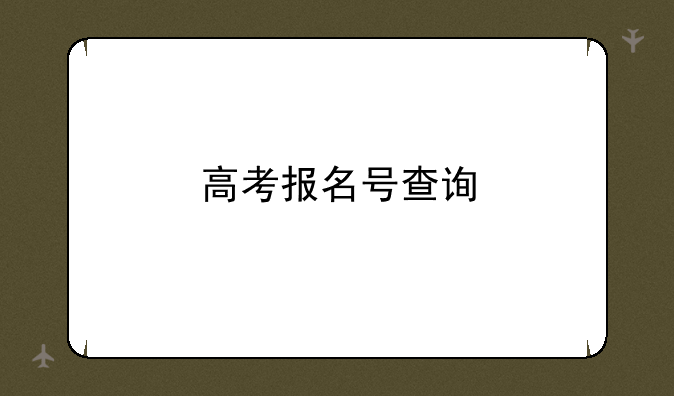 高考报名号查询