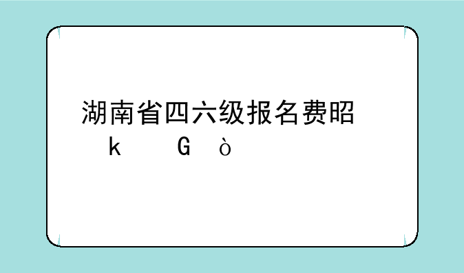 湖南省四六级报名费是多少？