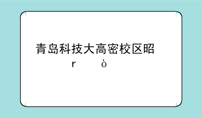 青岛科技大高密校区是几本？