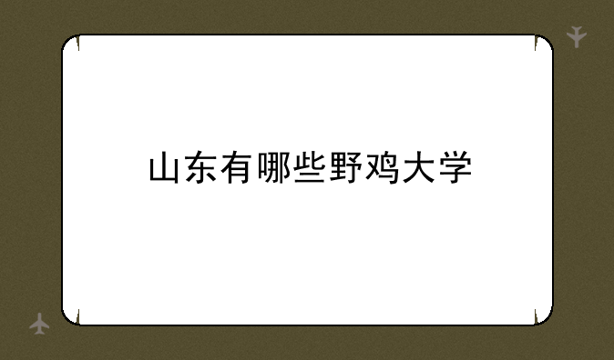 山东有哪些野鸡大学