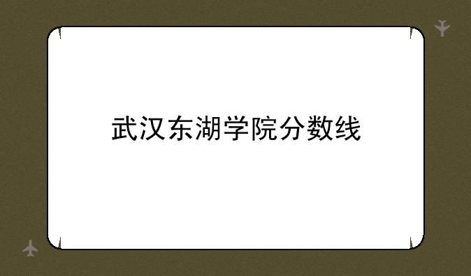 武汉东湖学院分数线