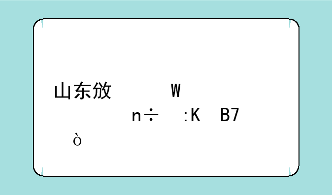 山东政法大学全国排名？