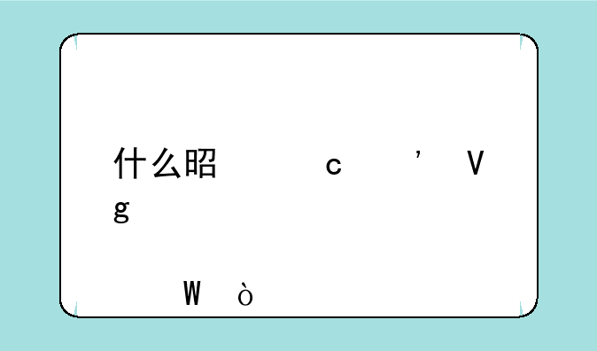 什么是高等教育自学考试？