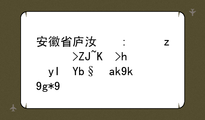 安徽省庐江县自考大专招生办公室在哪