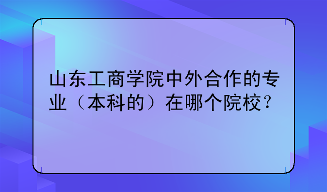 山东工商学院中外合作的专业（本科的）在哪个院校？